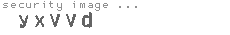 security image