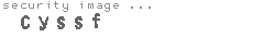 security image