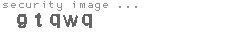 security image