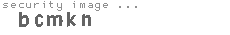 security image