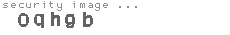 security image