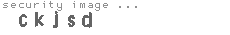 security image