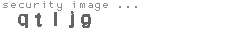security image