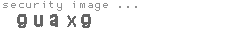 security image