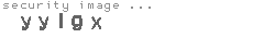 security image
