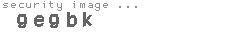 security image