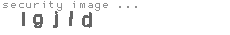 security image