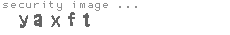 security image