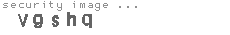 security image