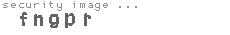 security image