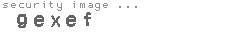 security image