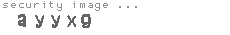 security image
