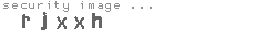 security image