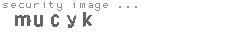 security image