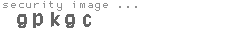 security image