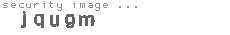 security image