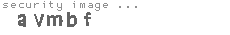 security image