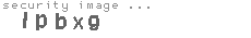 security image