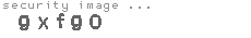 security image