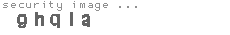 security image