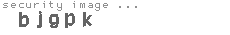 security image