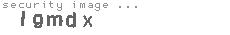 security image