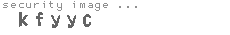 security image