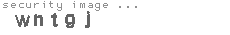 security image