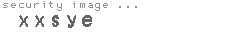 security image