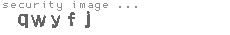 security image