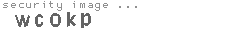 security image