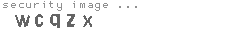 security image