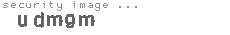 security image