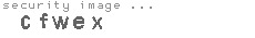 security image