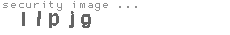 security image