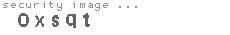 security image