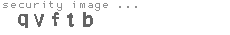 security image