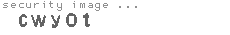 security image