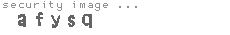 security image