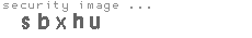 security image