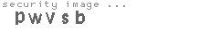 security image
