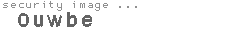 security image