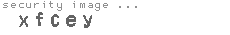security image