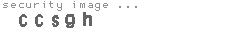 security image