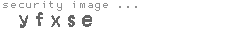 security image