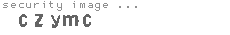 security image