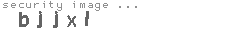 security image