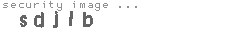 security image