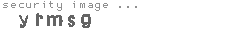 security image
