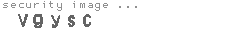 security image